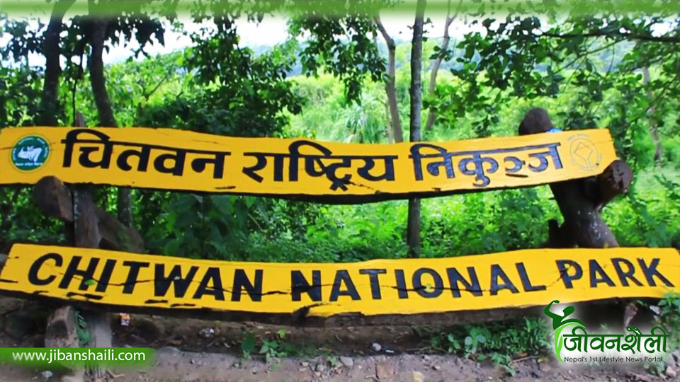 चालु आवमा वन्यजन्तु आक्रमणबाट छ जनाको मृत्यु
