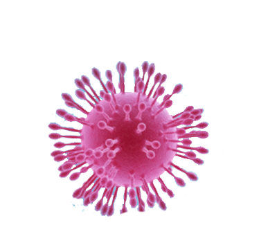 उपप्रमुख चौधरीको कोरोनाबाट मृत्यु