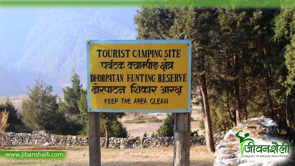 पच्चीस वर्षसम्म लागू भएन ढोरपाटन आरक्षमा मध्यवर्ती