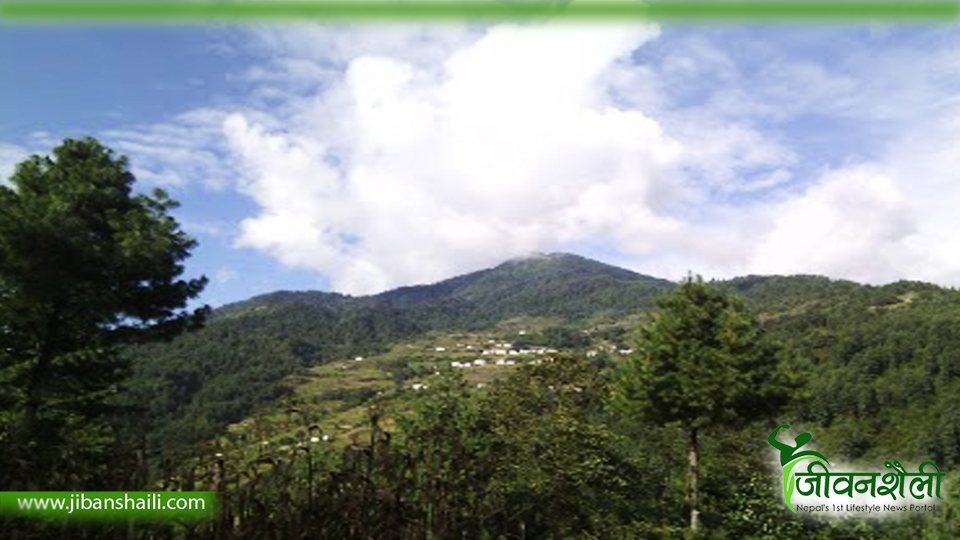अधिकांश गाउँघर पुरुषविहीन बन्दै