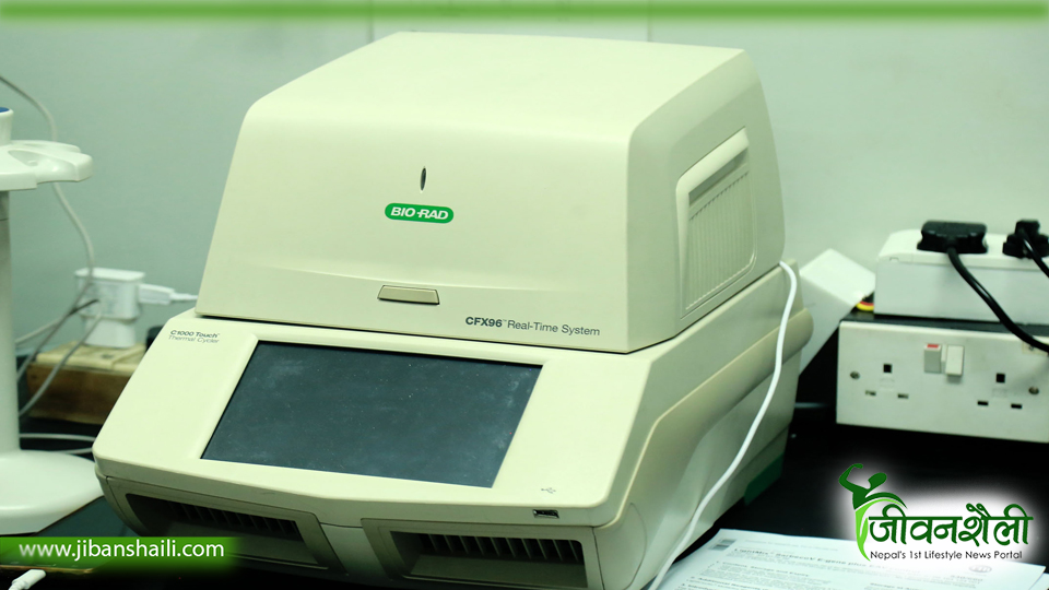 दश दिनसम्म पिसिआर रिपोर्ट नआउँदा समस्या