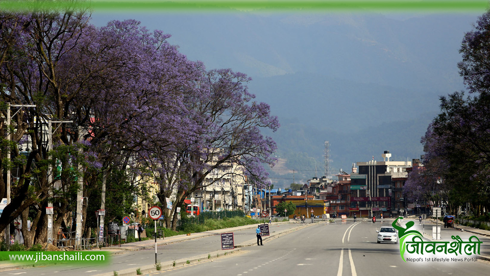 काठमाडौँ उपत्यकामा थप ९५१ जनामा कोरोना पुष्टि