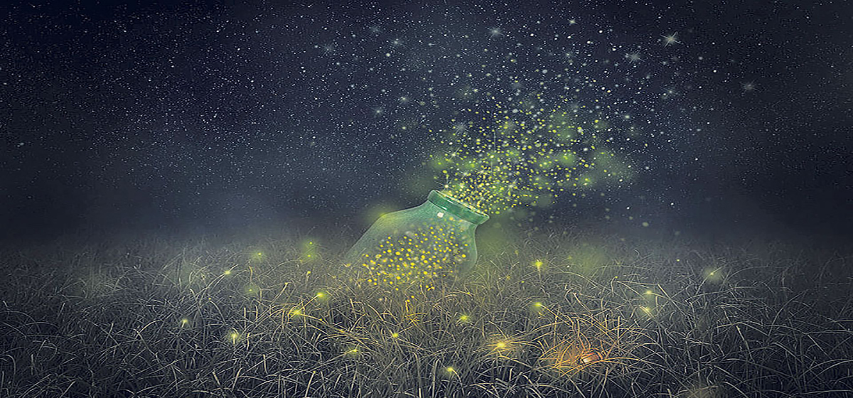 रुसबाट हिँडेका ११ नेपाली लिथआनिया र बेलारुसको जंगलमा अलपत्र