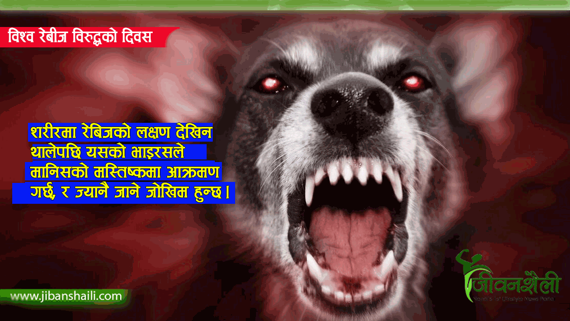 रेबीजका कारण नेपालमा वर्षेनी १०० जनाको जान्छ ज्यान