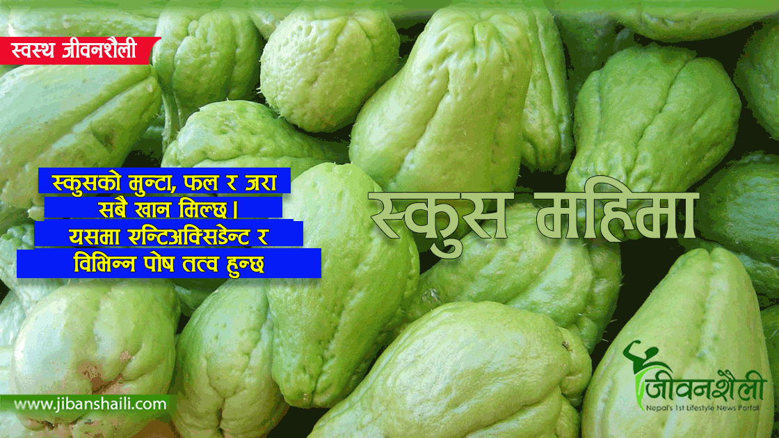 स्कुसका छन् यति धेरै फाइदा, क्यान्सरदेखी मुटुको स्वास्थ्यका लागि लाभदायी