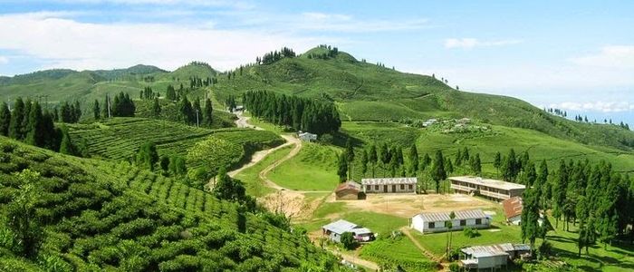 बन्दाबन्दी खुलेसँगै इलाममा पर्यटकको चहलपहल शुरु