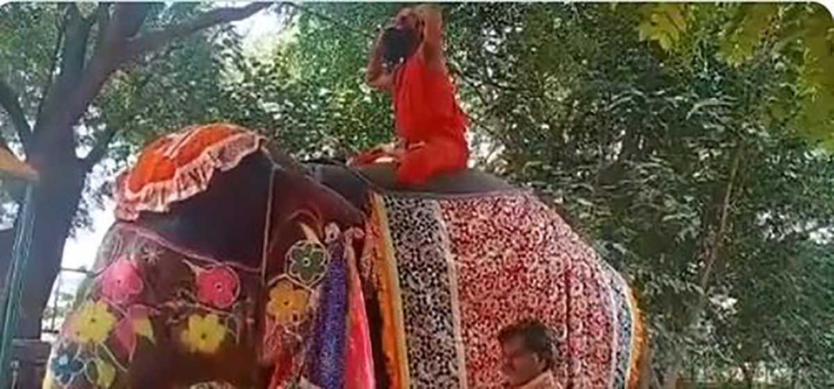 जब बाबा रामदेवले हात्तिमाथि बसेर योग गरे…