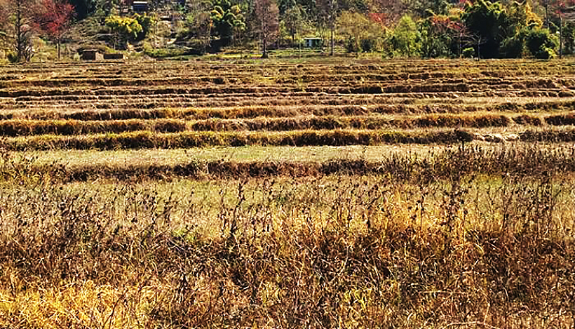 हिउँदमा खेतबारी बाँझो रहने चिन्ता