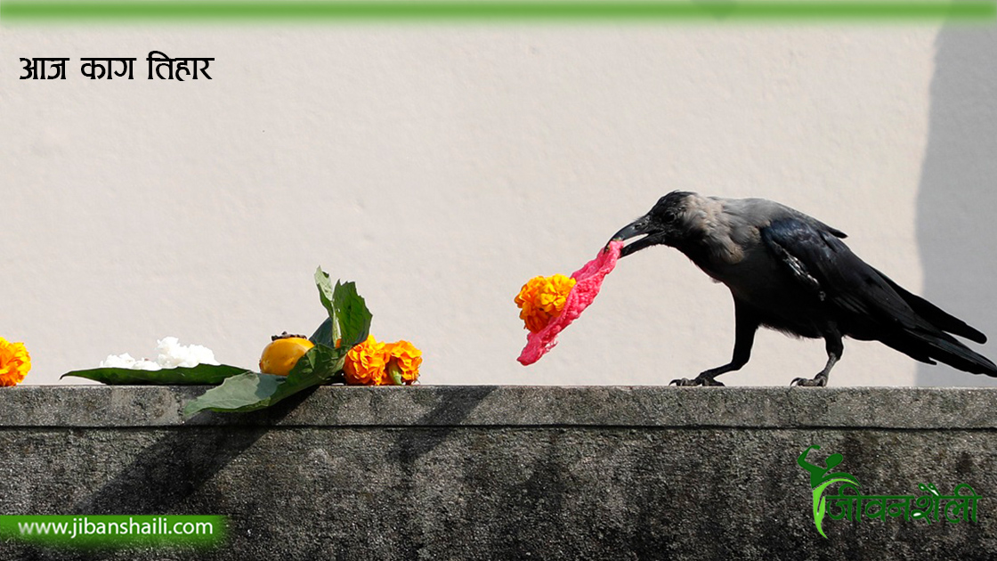 आज काग तिहार