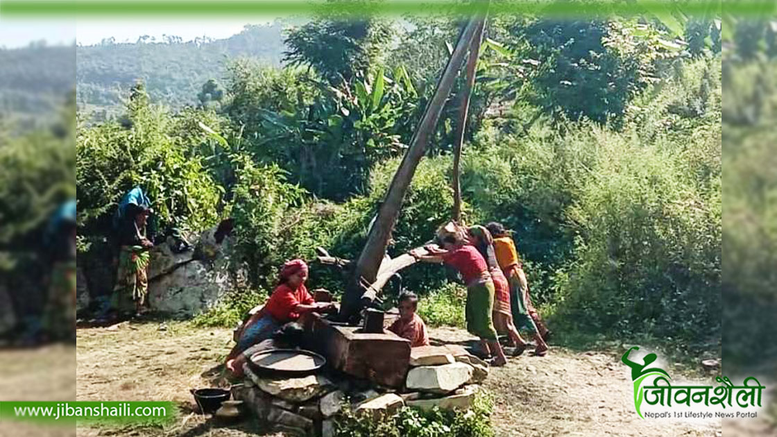 डोटीमा अझै प्रचलनमा छ तेल पेल्ने कोलु
