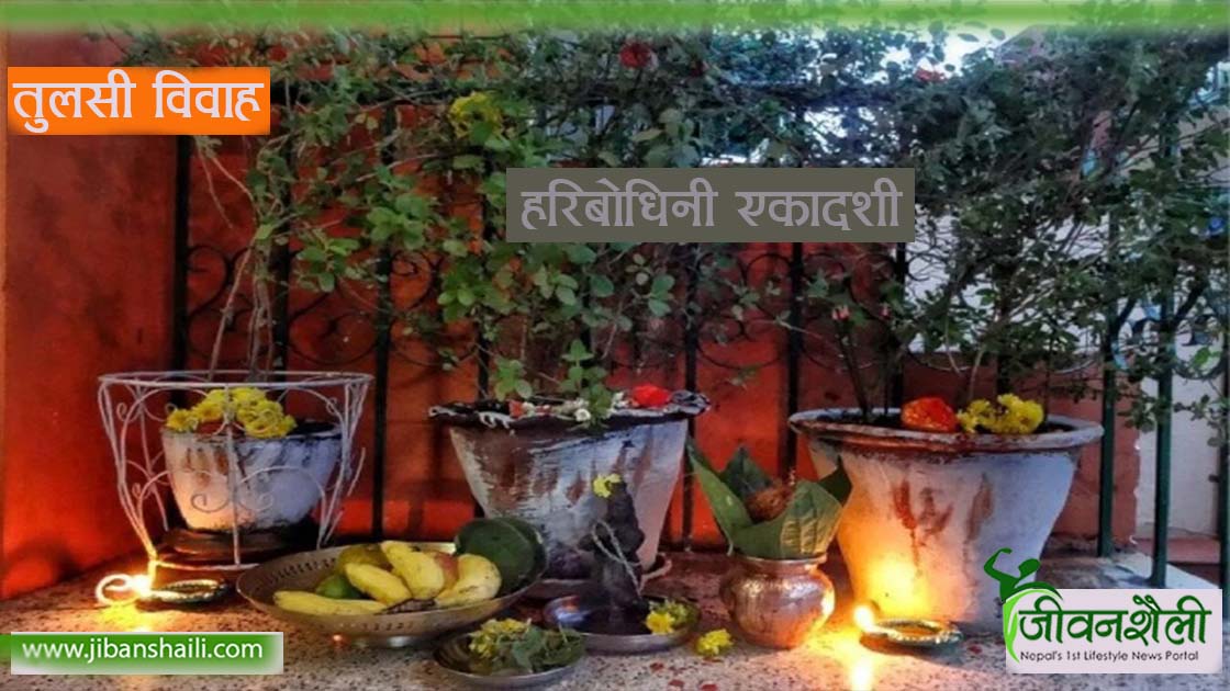 देवी लक्ष्मीलाई खुसी पार्न यसरी गर्नुस् तुलसी पूजा