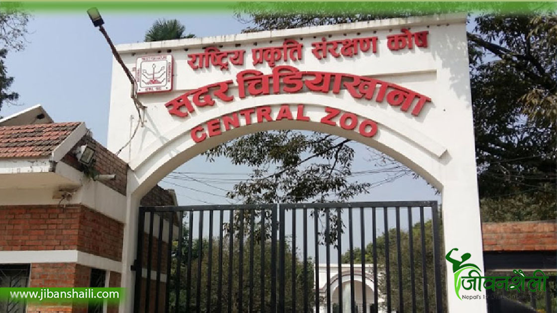 चिडियाखानाका वन्यजन्तुको ‘अविभावकत्व ग्रहण’ गर्ने बढ्दै