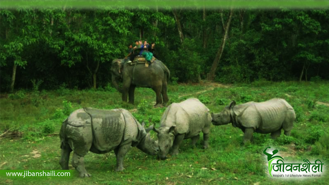 कोशी टप्पु आरक्षण क्षेत्र: जङ्गली जनावरको त्रास