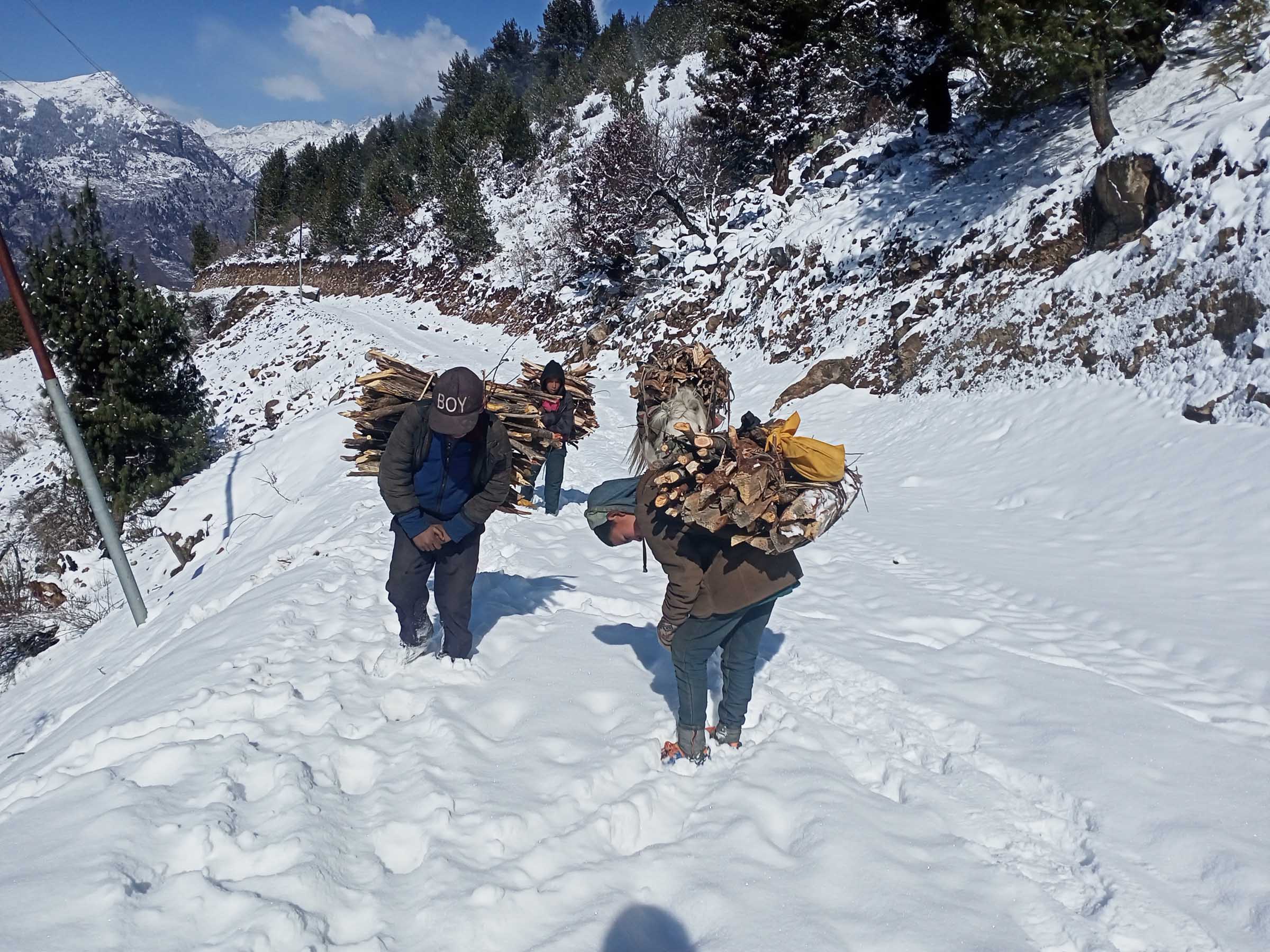 हिमाली जिल्लाः बालबालिकाले भारी नबोकी चुलो बल्दैन