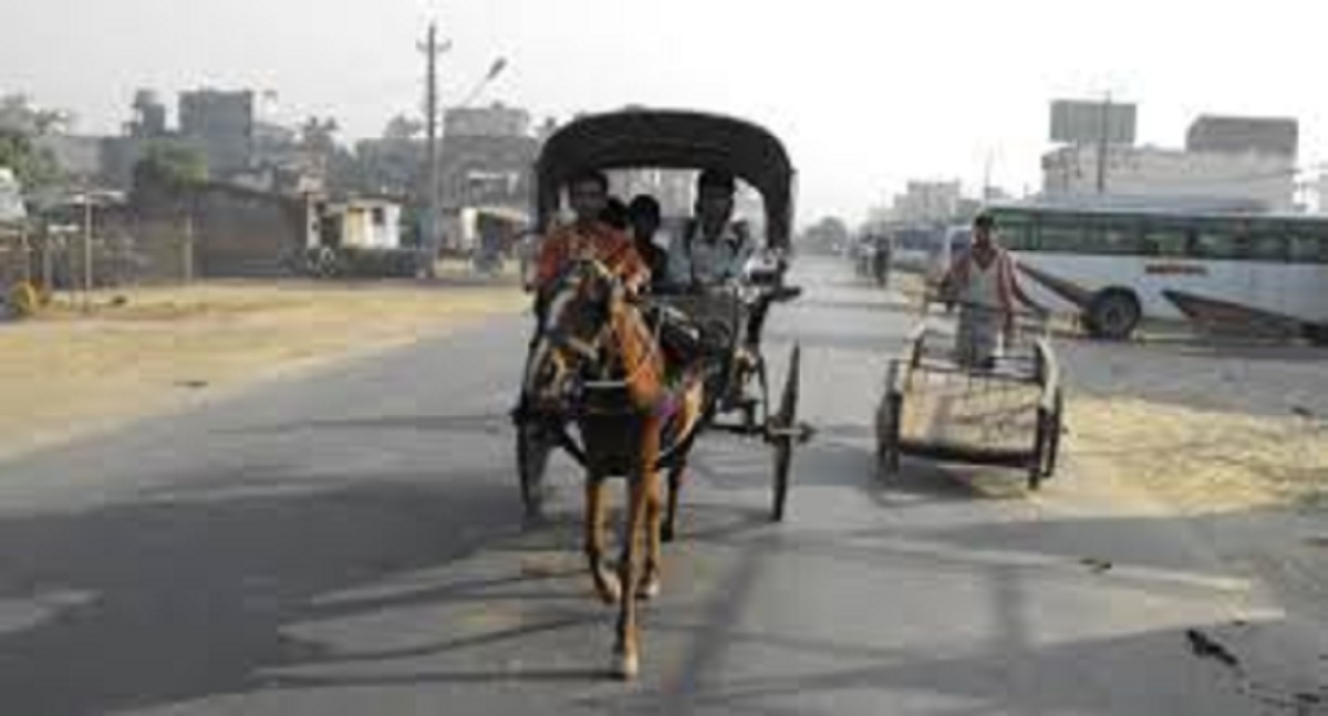 टाँगा सञ्चालन गर्न नपाउँदा व्यवसायी मर्कामा