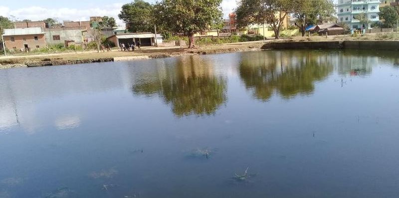 जङ्गली जनावरका लागि सामुदायिक वनमा पोखरी निर्माण