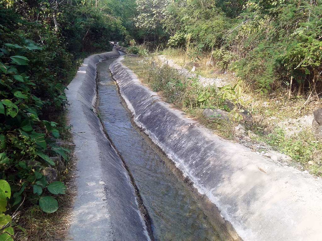 नहरमा डुबेर दुईको मृत्यु