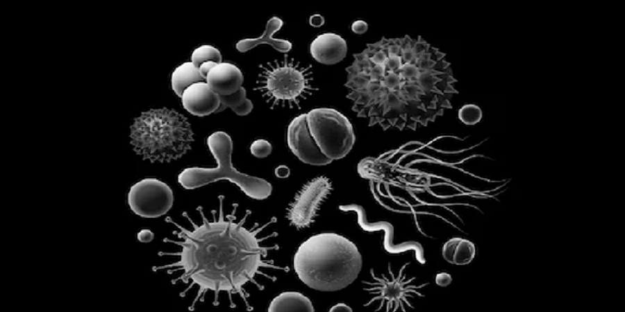 ब्ल्याक फंगसबाट वीरगंजमा तीन जनाको मृत्यु