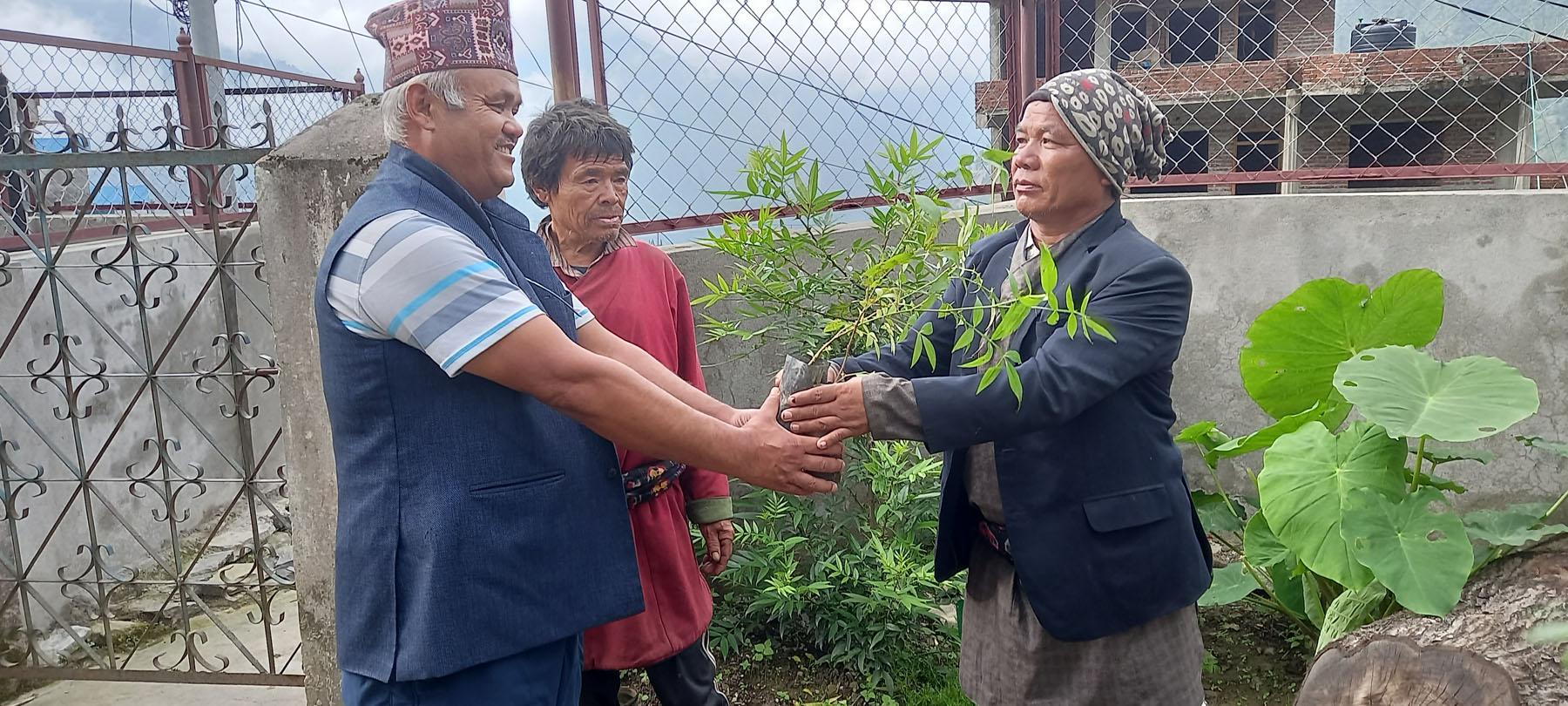 स्थानीयवासीलाई बिरुवा वितरण