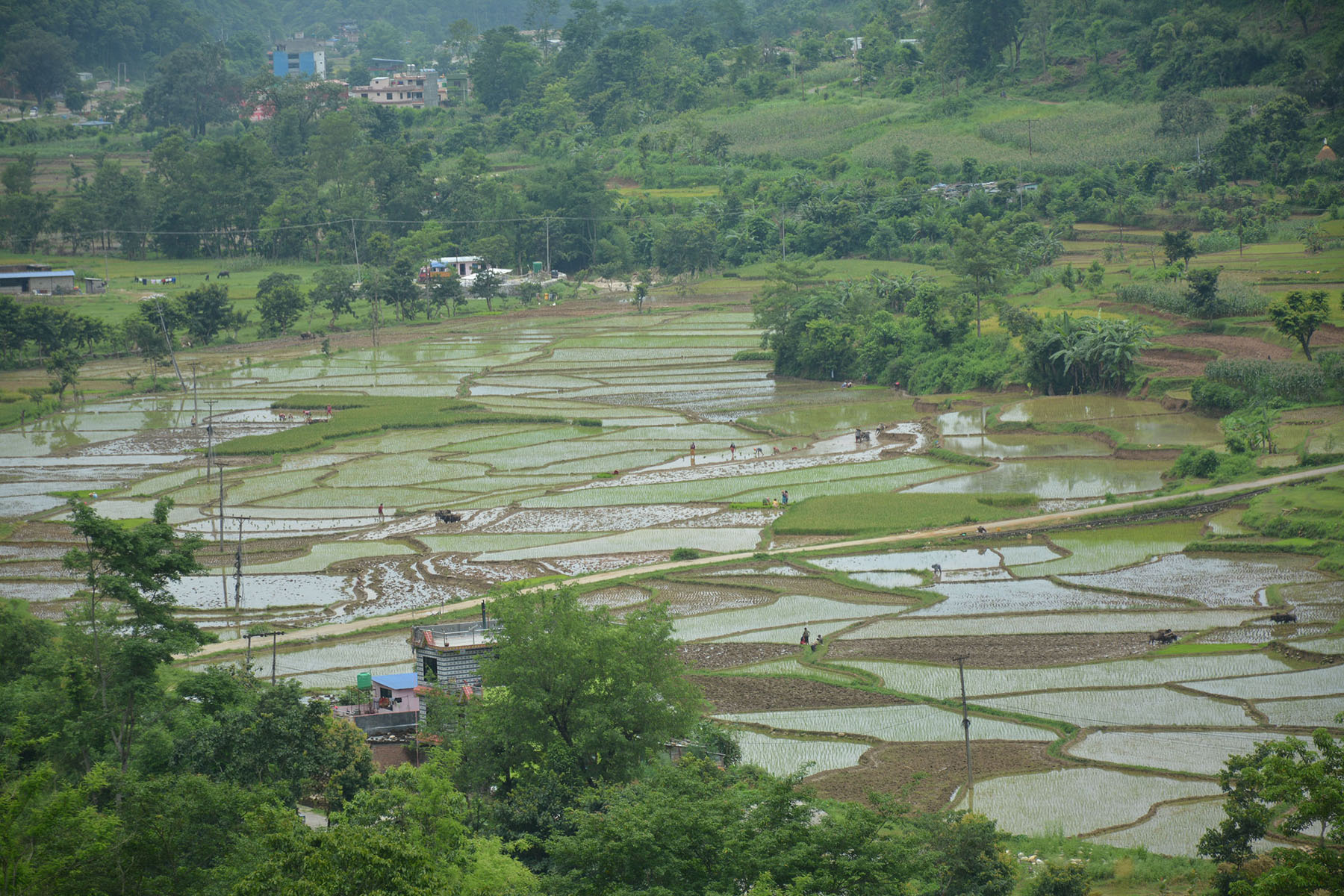 कर्णालीमा ९५ प्रतिशत सङ्क्रमितले कोरोना जिते