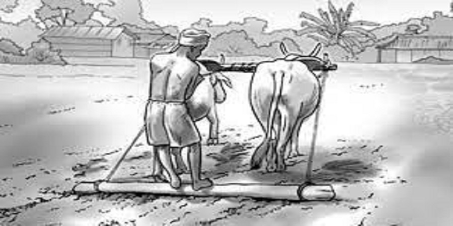 मुक्त कमैयासँग लालपूर्जा छ, जग्गा छैन