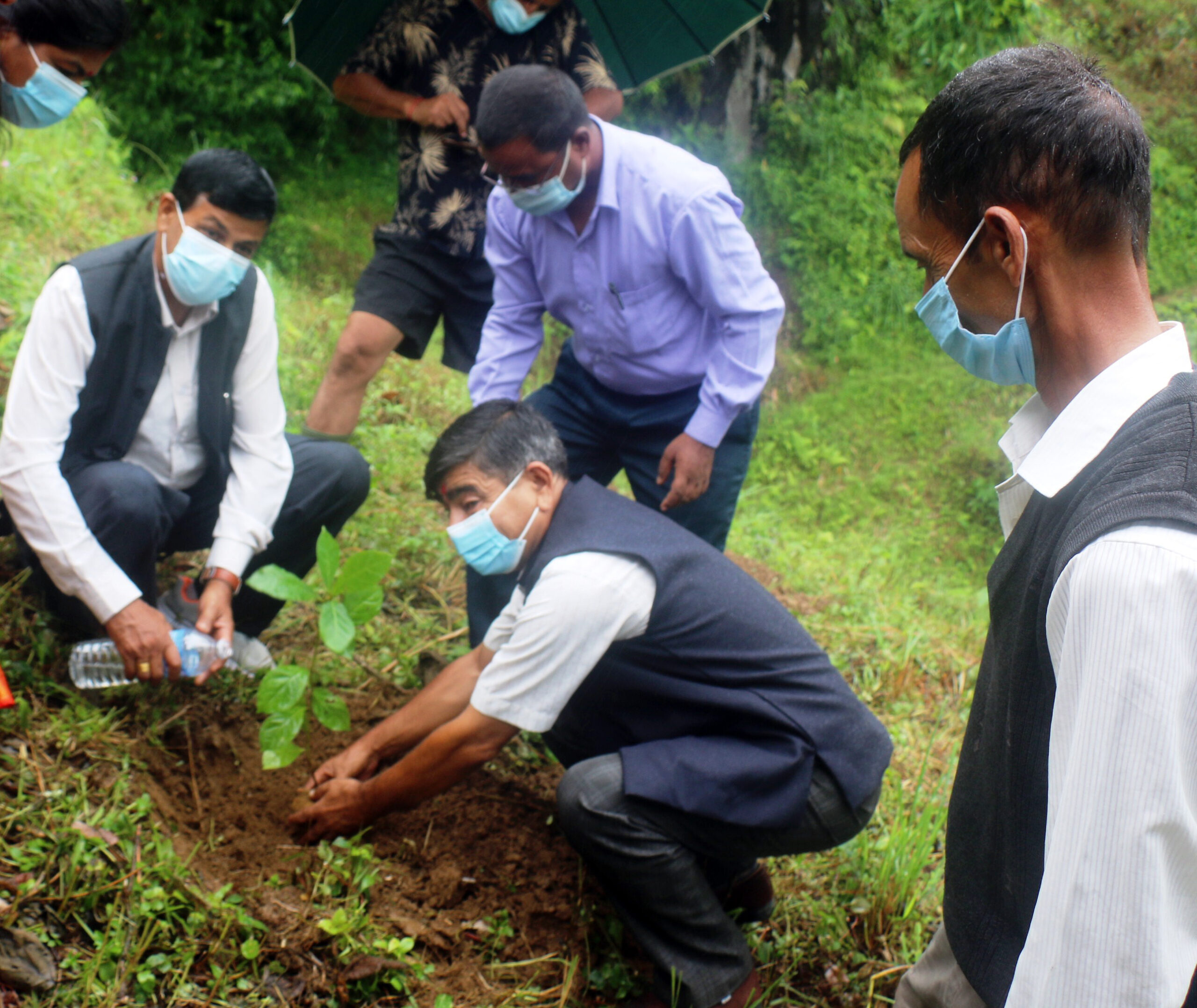 सामुदायिक वन दिवसमा वृक्षरोपण