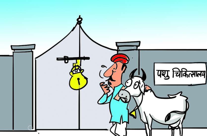नमूना पशु अस्पताल निर्माण शुरु
