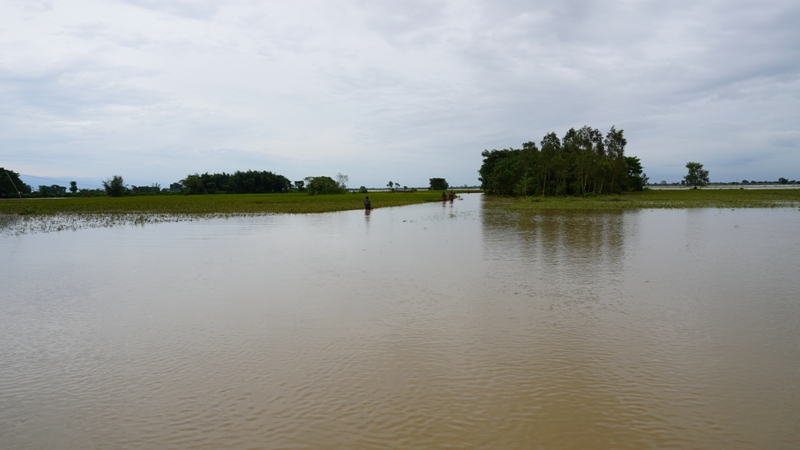 अविरल वर्षाको कारण तीन जिल्लामा डुबानको समस्या