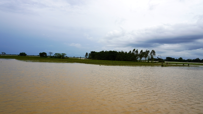 पाकिस्तानमा बाढीले ५० गाउँ डुबानमा