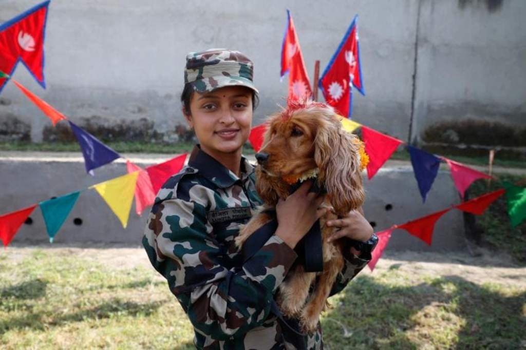 सीमामा सुरक्षा व्यवस्था कडाइ, कुकुर पनि परिचालन