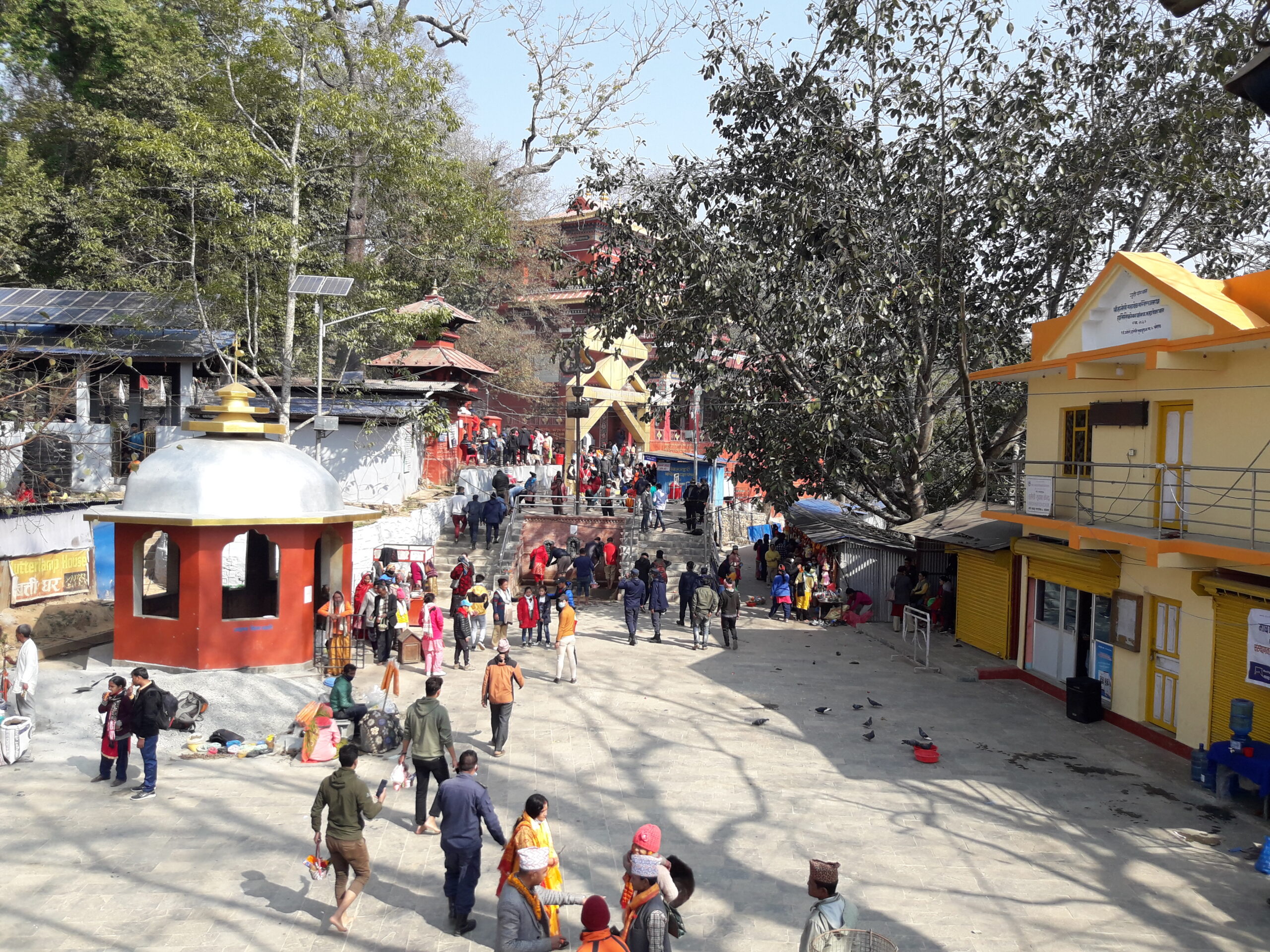 हलेसीमा दुई सातामा ४ लाख ४३ हजार भेटी संकलन