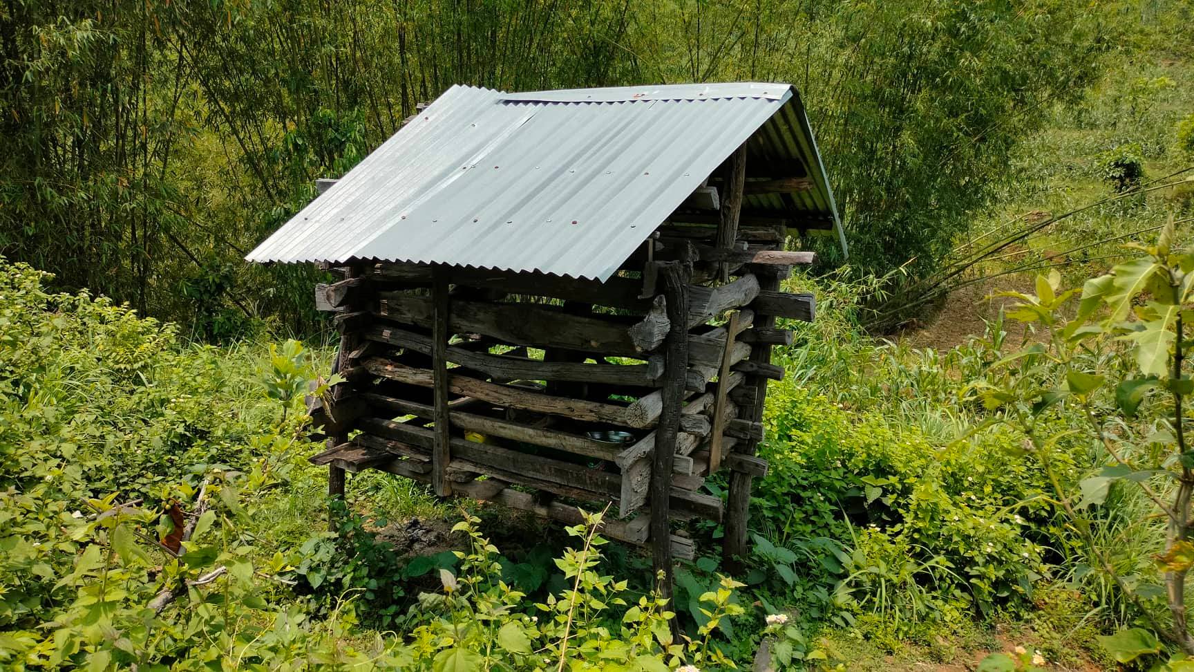 आर्थिक अभाबमा ७ वर्षदेखि मानसिक रोगी बिक खोरमा