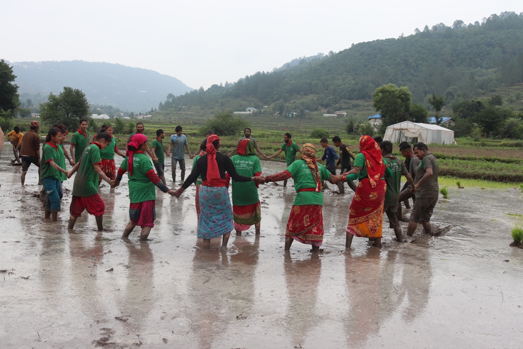 देउडा गाउँदै डडेल्धुरामा मनाइयाे धान दिवस (फोटोफिचर)