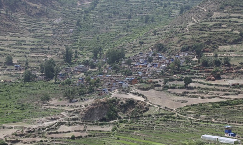 मुगुमा खडेरीले बाली सुक्यो