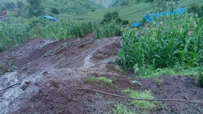 सडकसँगै गाउँमा पहिरो