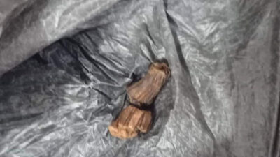 जडीबुटी खादा अछाममा एकको मृत्यु, एक गम्भीर बिरामी