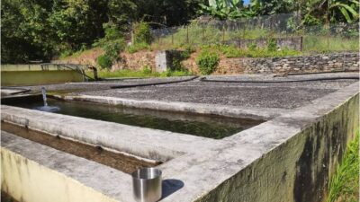 खानेपानी ट्याङ्कीमा डुबेर दुई  बालबालिकाको मृत्यु