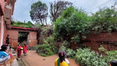 सहरमा चरा अधिकार : कहाँं बस्ने हामी ?