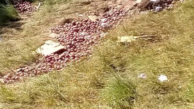 जुम्लामा स्याउ बोकेको ट्रक दुर्घटना, एकको मृत्यु