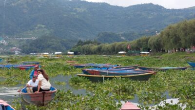 पोखरा महानगरले मंगलबार फेवाताल सफाइ गर्ने